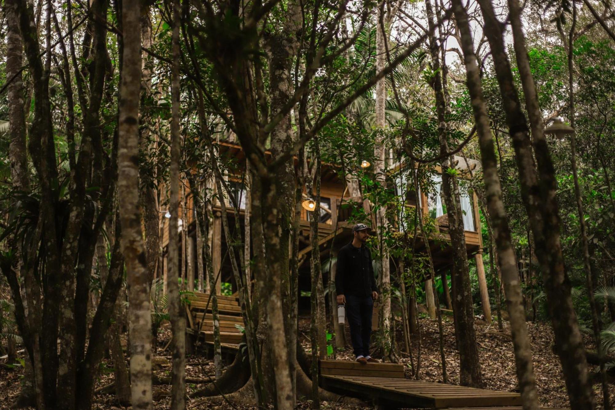 Chale Da Arvore, Vivenda Serra Velha, Chales De Montanha Timbe do Sul Dış mekan fotoğraf