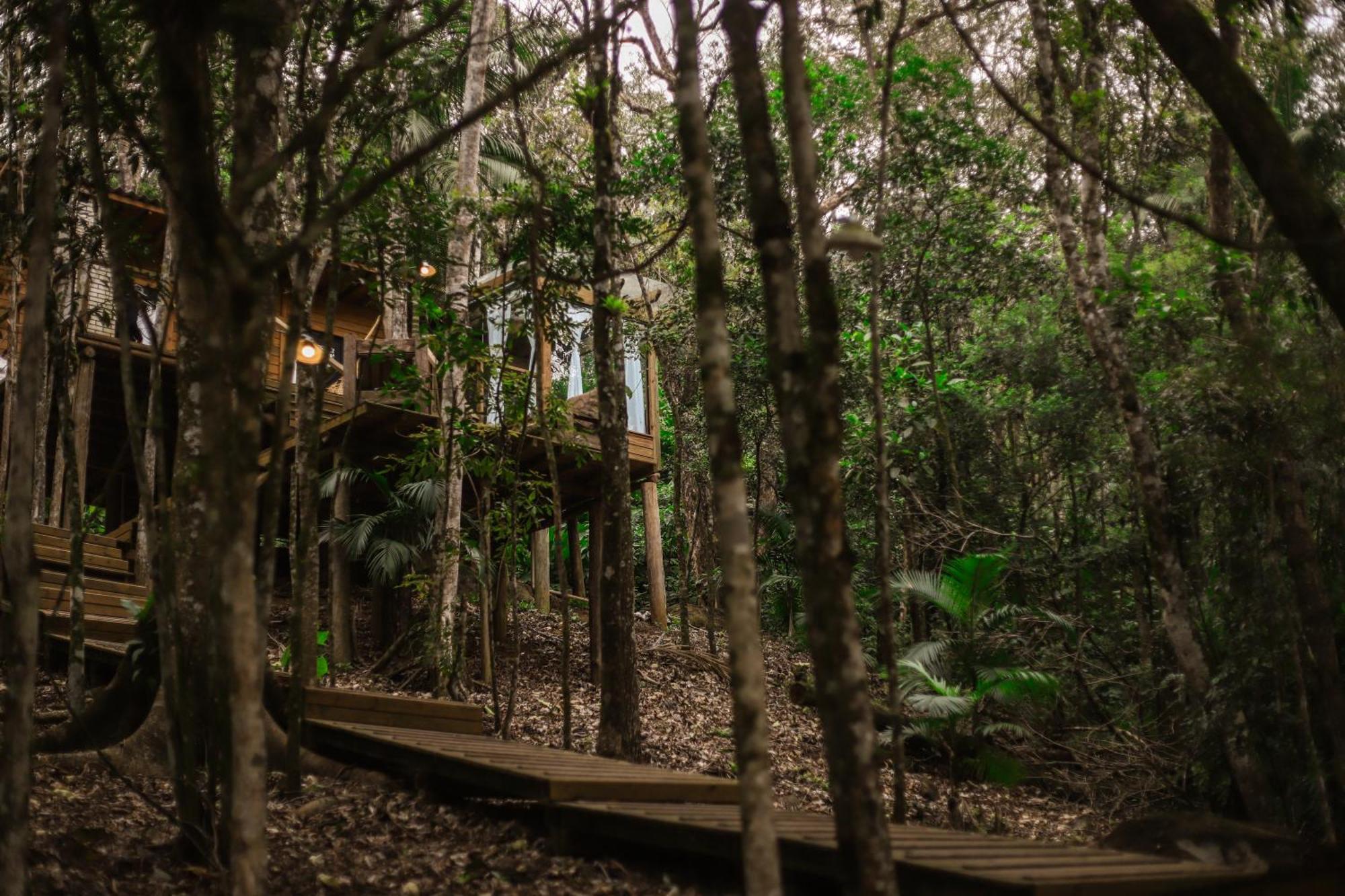 Chale Da Arvore, Vivenda Serra Velha, Chales De Montanha Timbe do Sul Dış mekan fotoğraf